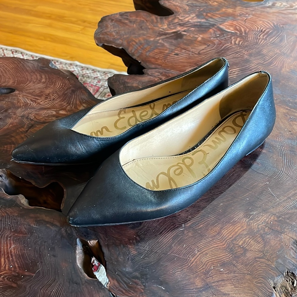Sam Edelman pointed toe flats